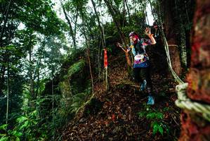 BIB: 
                            <button type="button" onclick="openModal(26198332)" class="btn btn-primary btn-sm float-right btn-popup" data-toggle="modal" data-target=".modal-high-quality">
                        <i class="fas fa-shopping-cart"></i> Add to Cart
                    </button>
                                            <button type="button" onclick="isThisMe(26198332, true)" class="btn btn-success btn-sm float-right btn-popup btn-isme hidden" data-toggle="tooltip" data-placement="bottom" title="นี่คือรูปของคุณใช่ไหม คลิกที่นี่เพื่อเอาเข้าอัลบั้ม">
                        <i class="fas fa-plus"></i> Add to album
                    </button>
                    <button type="button" onclick="isThisMe(26198332, false)" class="btn btn-warning btn-sm float-right btn-popup btn-isnotme hidden">
                        <i class="fas fa-ban"></i> Remove from album
                    </button>